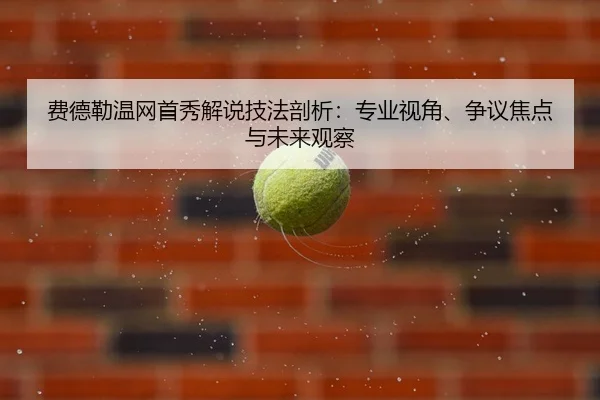 fei-de-lei-wen-wang-shou-xiu-jie-shuo-ji-fa-pou-xi-zhuan-ye-shi-jiao-zheng-yi-jiao-dian-yu-wei-lai-guan-cha-2-592.jpg