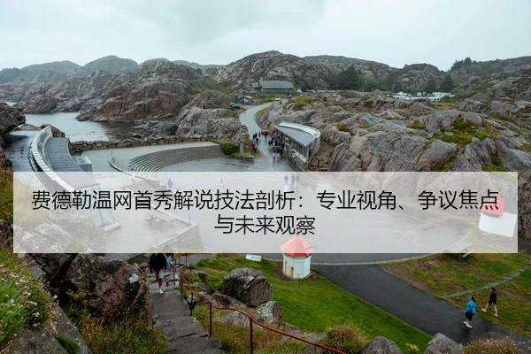 费德勒温网首秀解说技法剖析：专业视角、争议焦点与未来观察